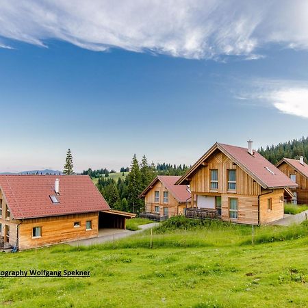 Beautiful Holiday Home In Weinebene With Sauna Posch Alpe المظهر الخارجي الصورة