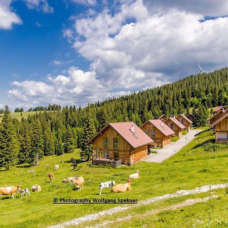Beautiful Holiday Home In Weinebene With Sauna Posch Alpe المظهر الخارجي الصورة
