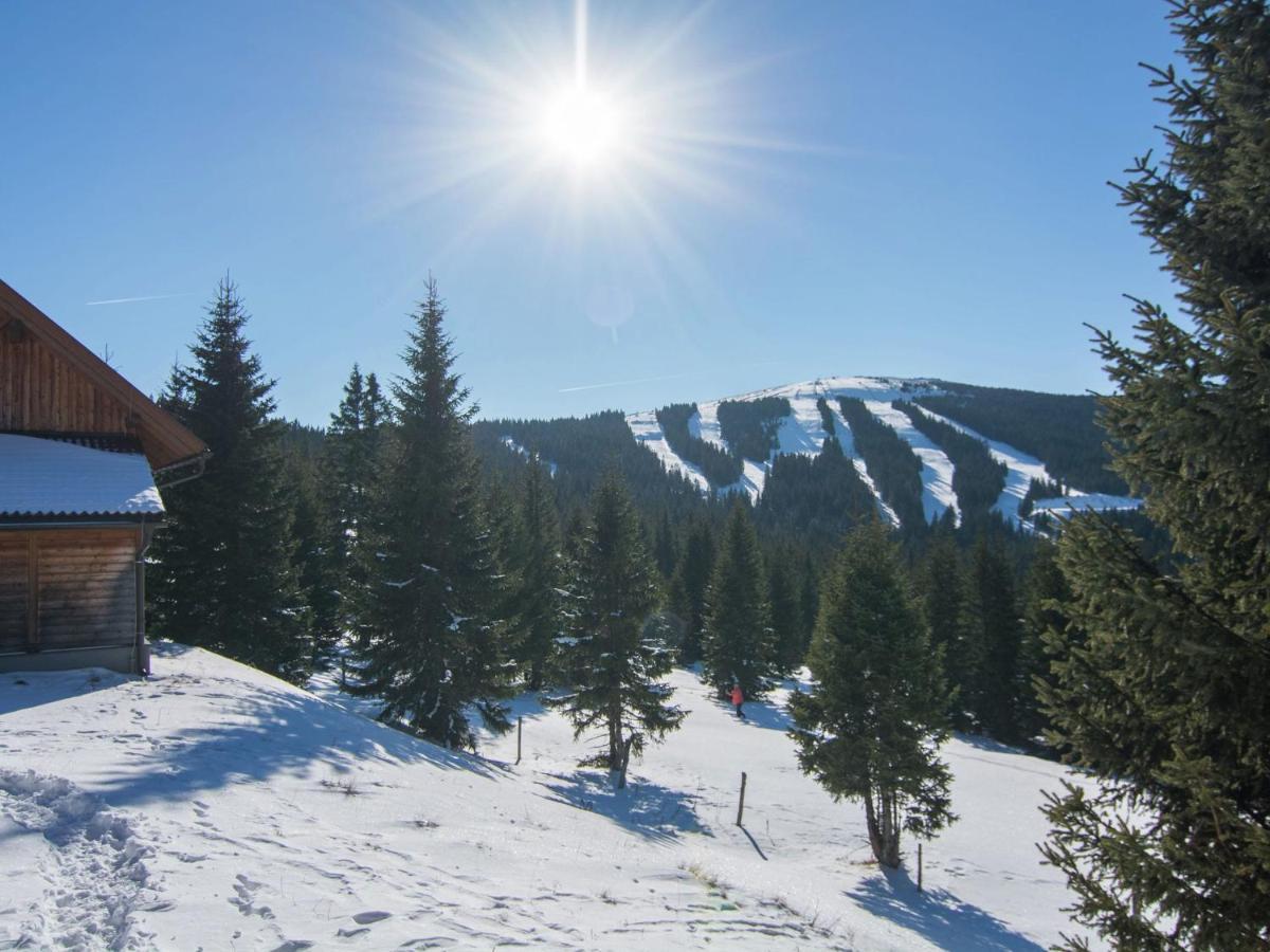 Beautiful Holiday Home In Weinebene With Sauna Posch Alpe المظهر الخارجي الصورة