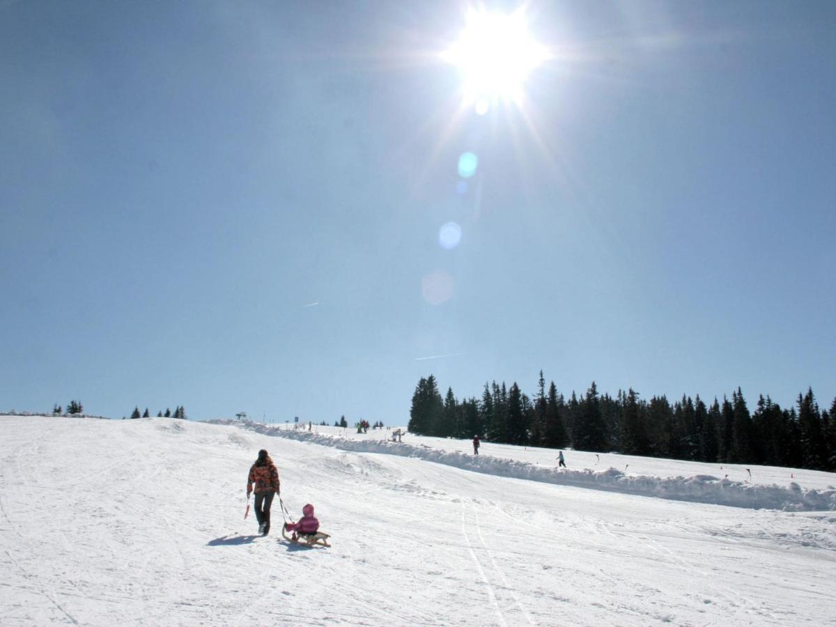 Beautiful Holiday Home In Weinebene With Sauna Posch Alpe المظهر الخارجي الصورة