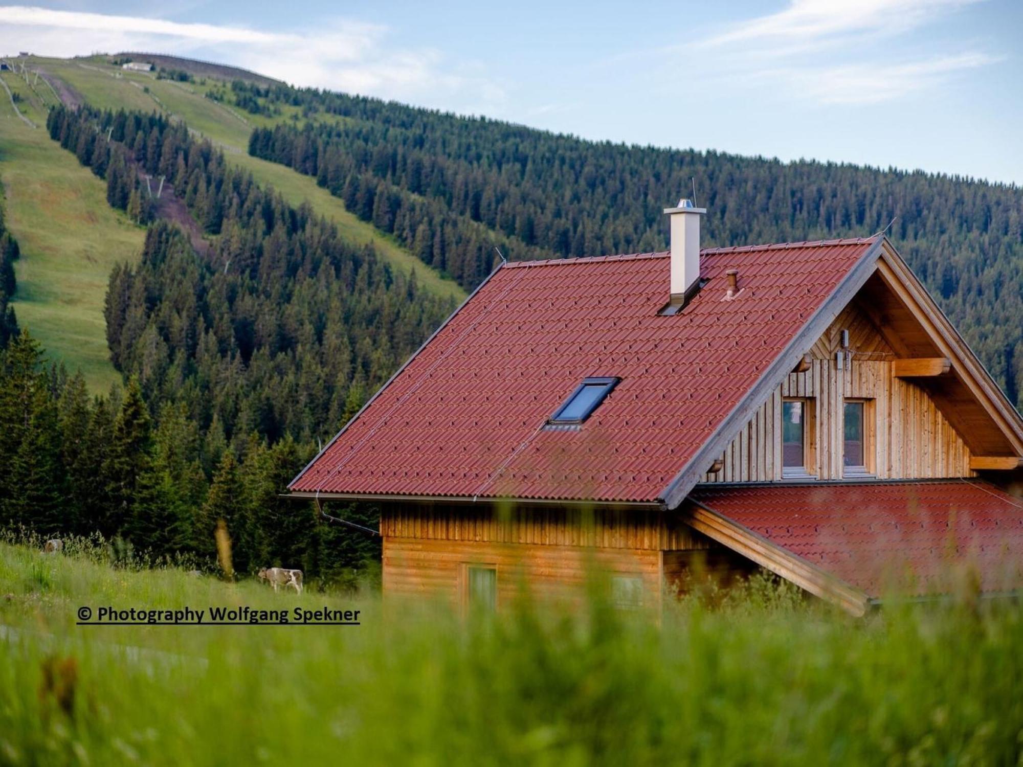 Beautiful Holiday Home In Weinebene With Sauna Posch Alpe المظهر الخارجي الصورة