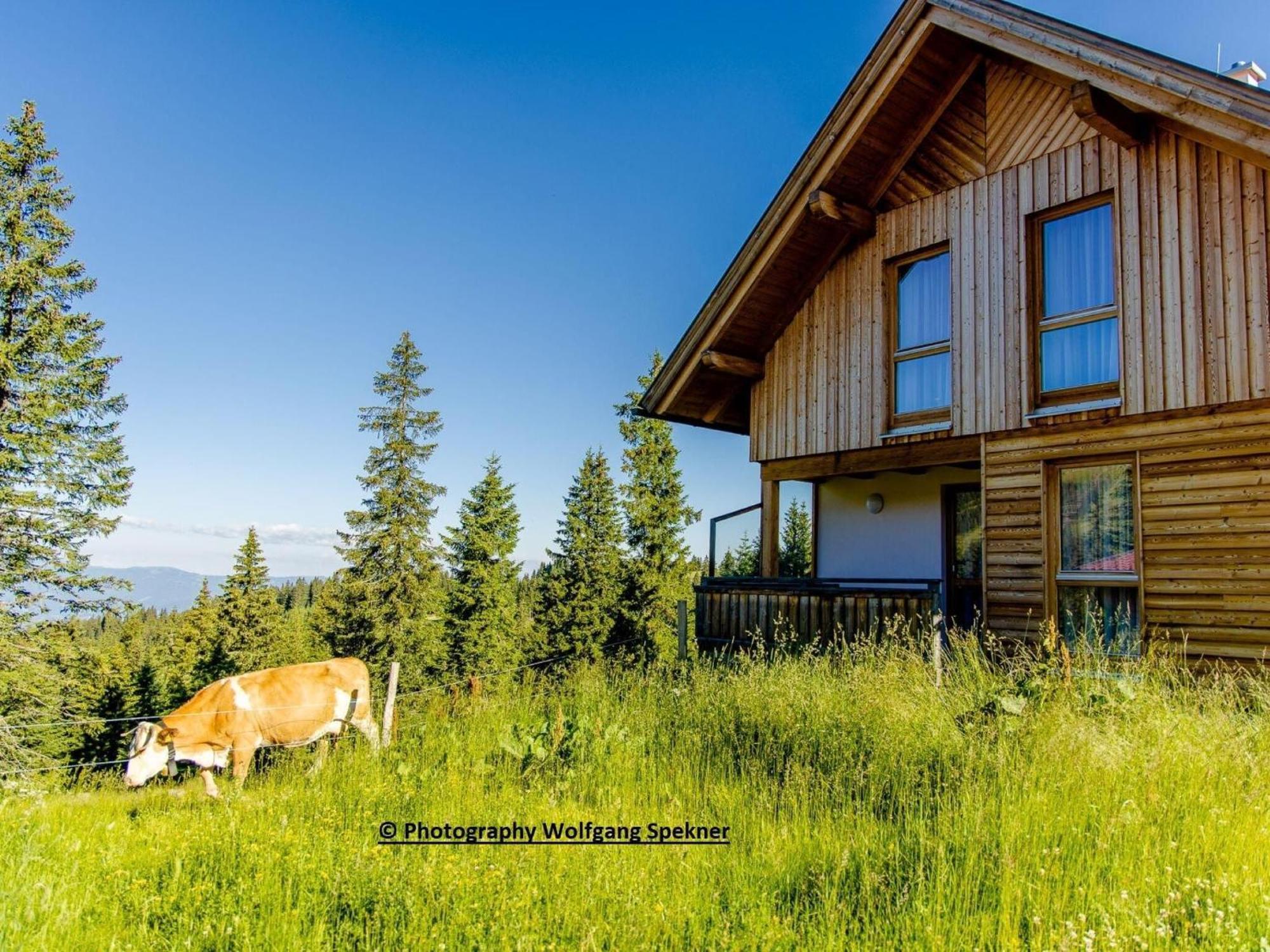 Beautiful Holiday Home In Weinebene With Sauna Posch Alpe المظهر الخارجي الصورة
