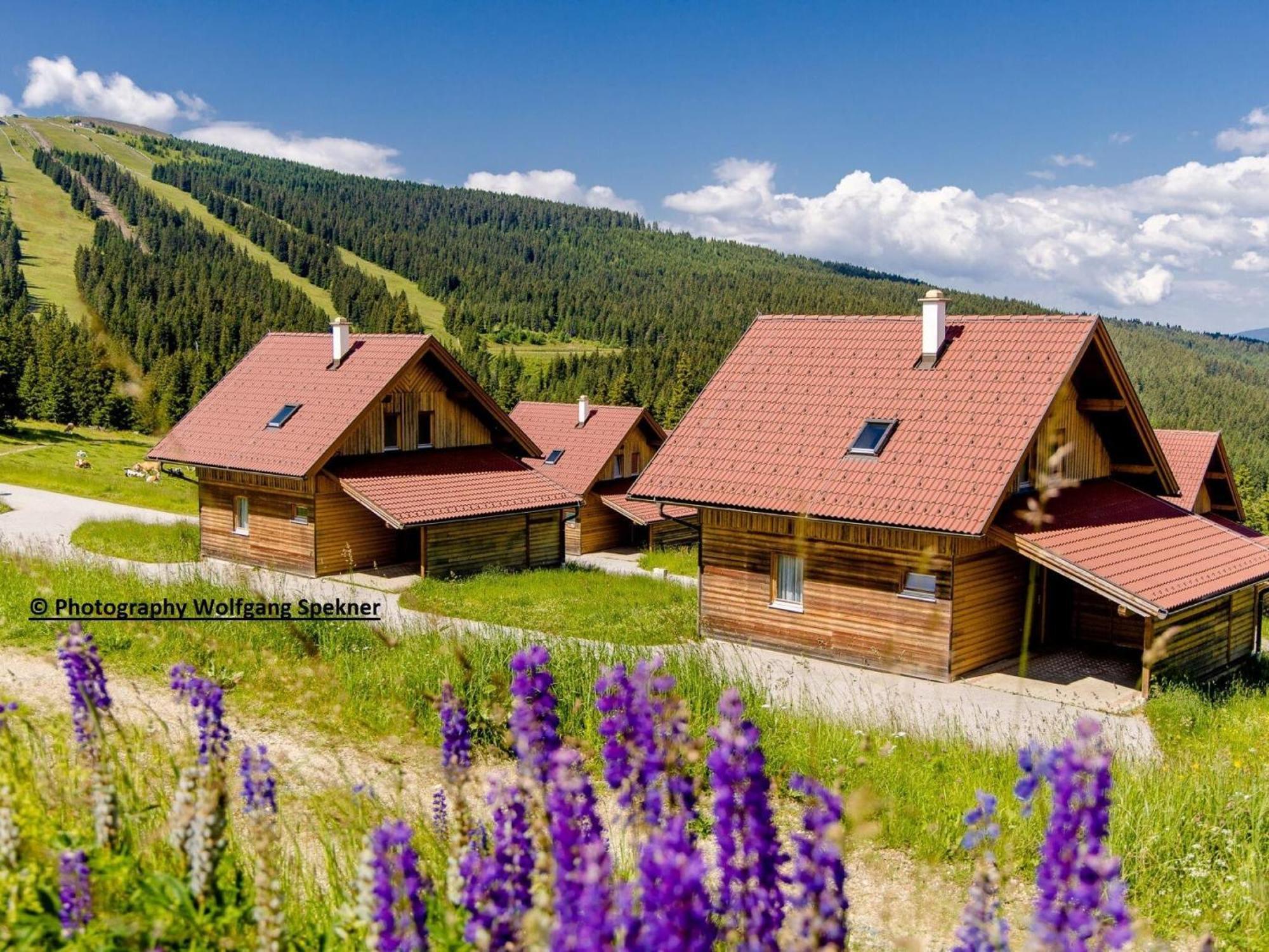 Beautiful Holiday Home In Weinebene With Sauna Posch Alpe المظهر الخارجي الصورة