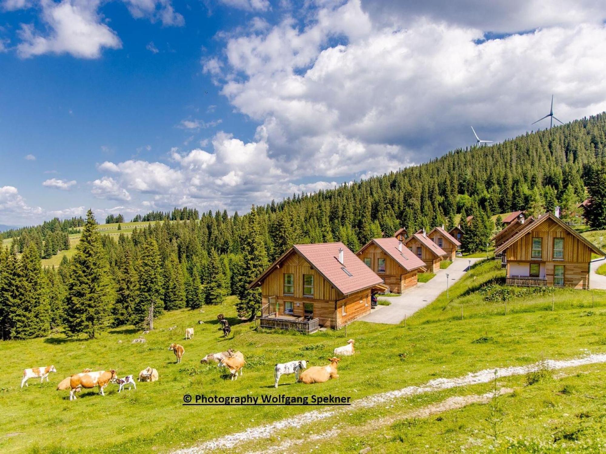 Beautiful Holiday Home In Weinebene With Sauna Posch Alpe المظهر الخارجي الصورة