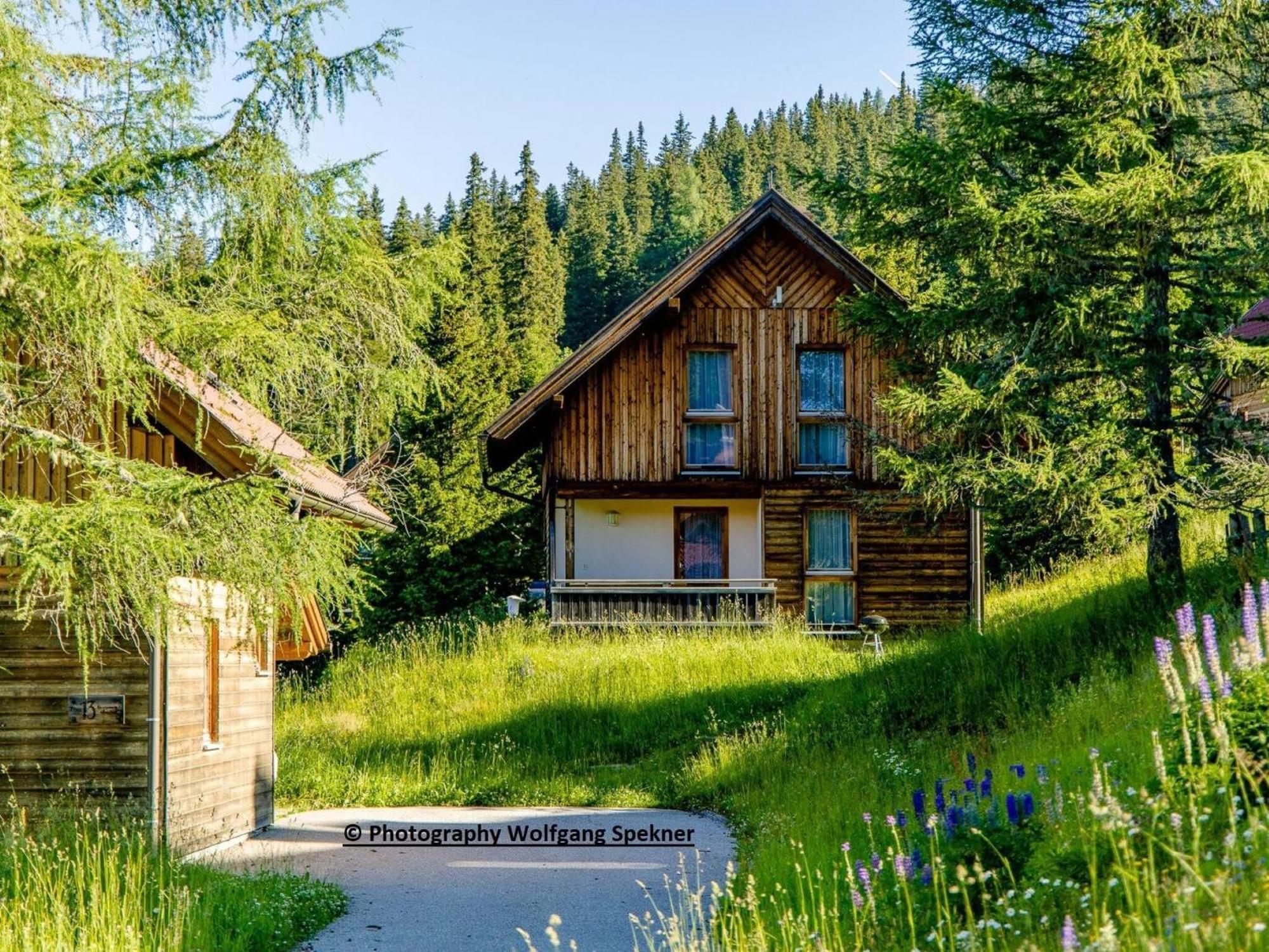 Beautiful Holiday Home In Weinebene With Sauna Posch Alpe المظهر الخارجي الصورة